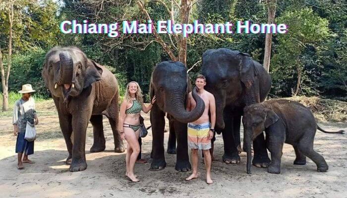 치앙마이 데이트 장소