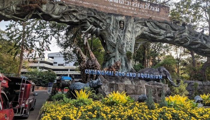 치앙마이 데이트 장소