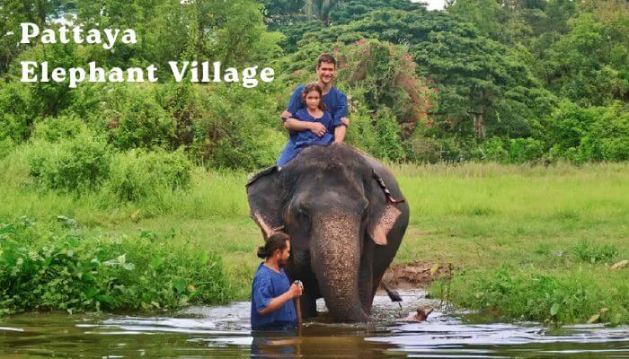 Pattaya Elephant Village